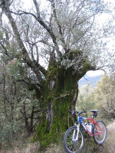 Mindfulness, atención plena, compromiso, deporte sostenible, sostenibilidad, coaching educativo, educación en valores, educación medioambiental, educación para una ciudadanía global, educar para el cambio