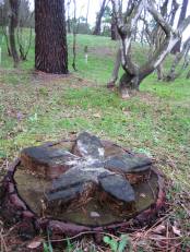 Pensamiento modificable. 