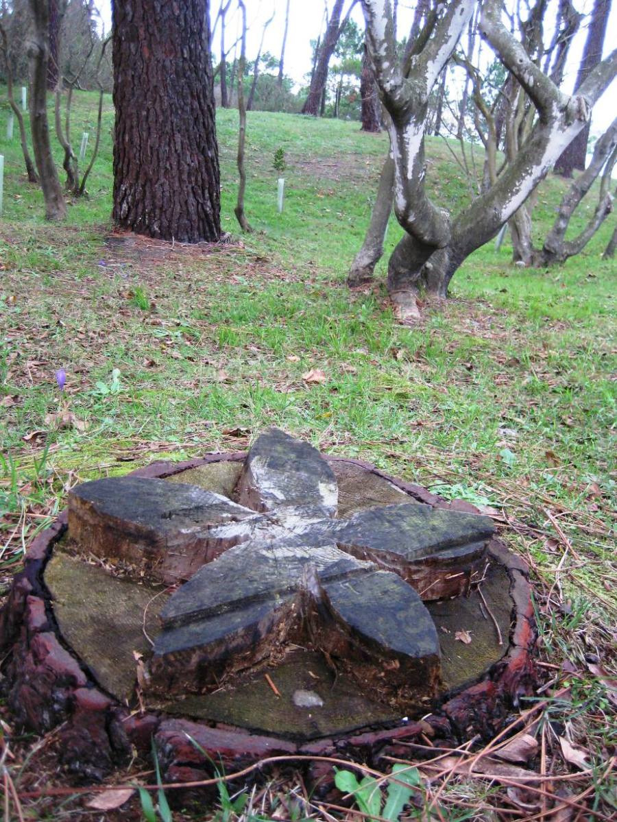 Pensamiento modificable.