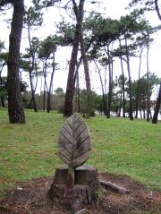 Pensamiento divergente. 