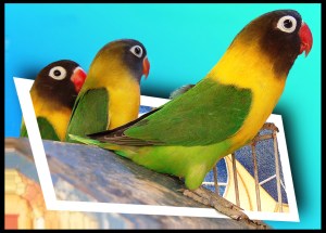 Pensamiento modificable. 