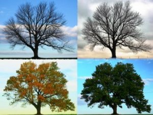 CAMBIOS HUMILDES Y CONSTANTES = TRANSFORMACIÓN SOCIAL TRANSFORMACIÓN SOCIAL, inclusión educativa, coaching educativo, Paulo Freire, Programación Neurolingüística, Inteligencia Emocional, participación del alumnado, escuela inclusiva, reconocimiento, dar voz a los sin voz, voz del alumnado, mejora escolar, inclusión, escuela inclusiva, pedagogía liberadora, Stephen Covey, metáfora