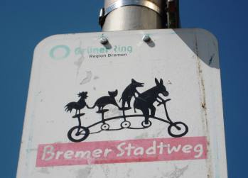 Acción, movimiento, dinamismo, equilibrio, flexibilidad, Cómo reinventarse, reciclarse, fortalezas, áreas de mejora, automotivación, motivación, pasión, entusiasmo, liderazgo, nuevo camino profesional, adaptarse, educar para cambiar, cambio, Coaching Educativo Zaragoza, Coaching, liderazgo de equipo, optimismo, líder, creatividad, fluir