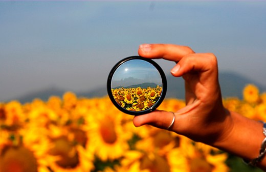 autoconcepto,  J.A. Marina, autoconocimiento, autoconciencia, autoevaluación, autoaceptación, automotivación, autonomía,  educación emocional,  bienestar,  capacidades,  competencias, frustración, angustia, Rita Pierson,  conexión, coaching, factor emprendedor, pnl,  error = aprendizaje, expectativas, filtro, modelo, flexibilidad, pensamiento divergente y creativo, aceptación personal, elogio, estilo de disciplina, límites, valores personales, directrices, objetivos , crecimiento interior,  aproximaciones sucesivas, feedback,  notas, calificaciones, inteligencias múltiples de H. Gardner, esfuerzo,  comparación intrapersonal, delegar,  responsabilidad,  perseverancia