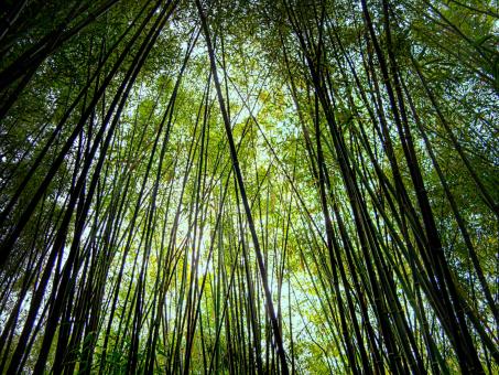 autoconcepto,  J.A. Marina, autoconocimiento, autoconciencia, autoevaluación, autoaceptación, automotivación, autonomía,  educación emocional,  bienestar,  capacidades,  competencias, frustración, angustia, Rita Pierson,  conexión, coaching, factor emprendedor, pnl,  error = aprendizaje, expectativas, filtro, modelo, flexibilidad, pensamiento divergente y creativo, aceptación personal, elogio, estilo de disciplina, límites, valores personales, directrices, objetivos , crecimiento interior,  aproximaciones sucesivas, feedback,  notas, calificaciones, inteligencias múltiples de H. Gardner, esfuerzo,  comparación intrapersonal, delegar,  responsabilidad,  perseverancia