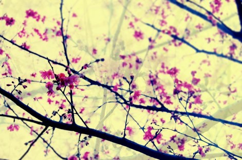 autoconcepto,  J.A. Marina, autoconocimiento, autoconciencia, autoevaluación, autoaceptación, automotivación, autonomía,  educación emocional,  bienestar,  capacidades,  competencias, frustración, angustia, Rita Pierson,  conexión, coaching, factor emprendedor, pnl,  error = aprendizaje, expectativas, filtro, modelo, flexibilidad, pensamiento divergente y creativo, aceptación personal, elogio, estilo de disciplina, límites, valores personales, directrices, objetivos , crecimiento interior,  aproximaciones sucesivas, feedback,  notas, calificaciones, inteligencias múltiples de H. Gardner, esfuerzo,  comparación intrapersonal, delegar,  responsabilidad,  perseverancia