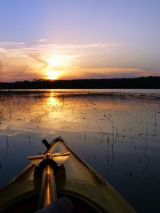 TÉCNICAS DE AUTOCONTROL, coaching educativo, pueblo gitano, educación inclusiva , motivación, desmotivación, sistema educativo inglés, absentista, esfuerzo, refuerzo positivo, consejos prácticos educativos, perspectiva sistémica, aprendizaje cooperativo, Intemon-OXFAM, diversidad, exclusión social, Javier Urra, vínculo, familia, Rita Pierson, herramienta de coaching educativo, fase Insight, proceso de coaching, autoconcepto, J.A. Marina, Joan Vaello Orts, competencia actitudinal, objetivo de aprendizaje, síndrome del profesor quemado, burnout, empatía, asertividad, frases-mantra, automensajes, Programación Neurolingüística PNL, Donald Meichenbaum, técnicas de comunicación asertiva, Daniel Goleman, autoestima, James P. Comer 