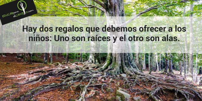 Alumni, Asociacion Antiguos Alumnos, Raices, Roots