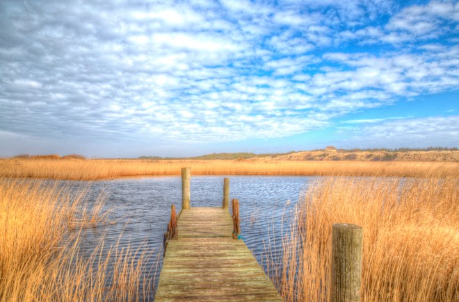 Mindfulness para docentes