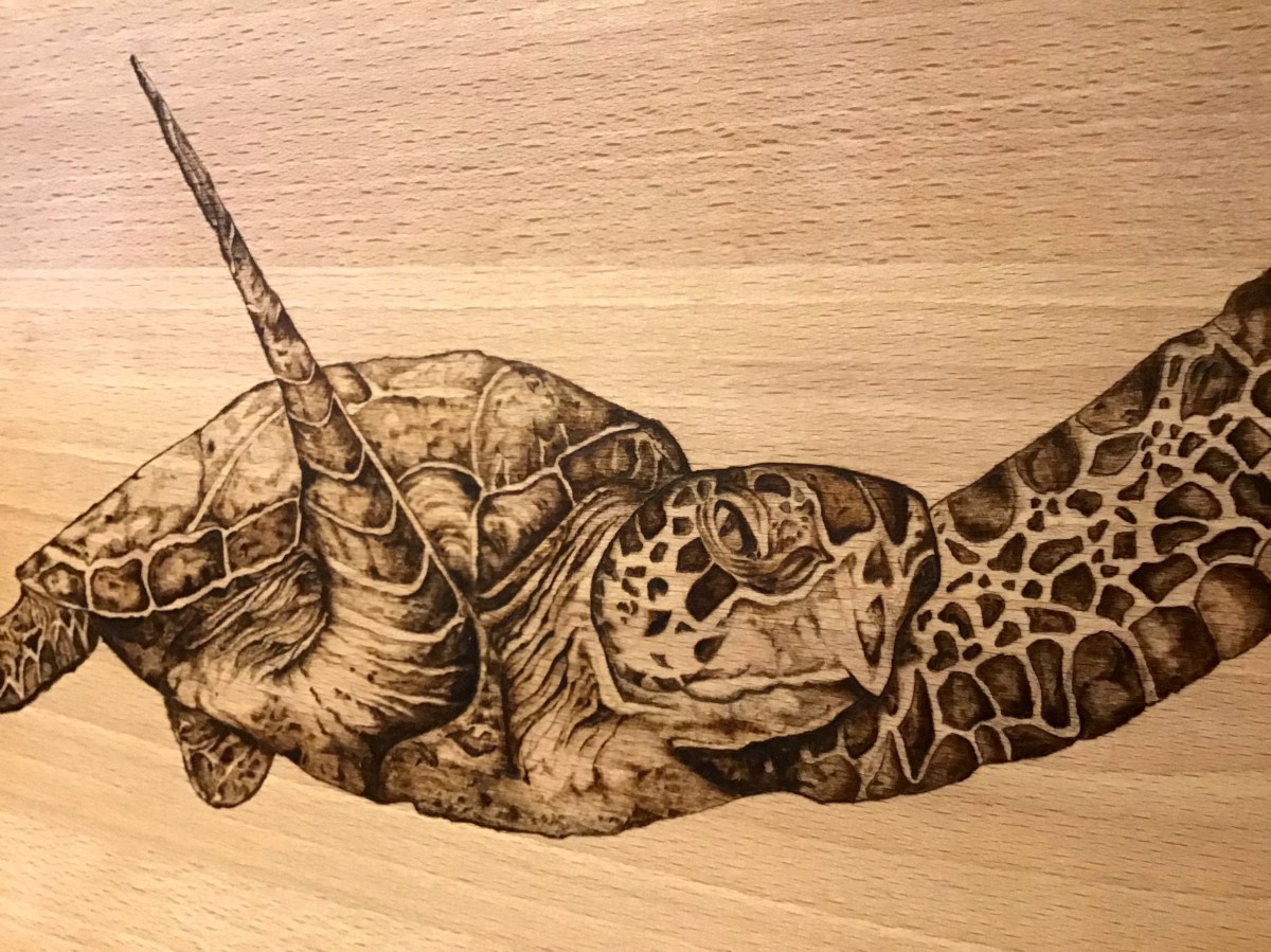 Detalle pirograbado tortuga 01