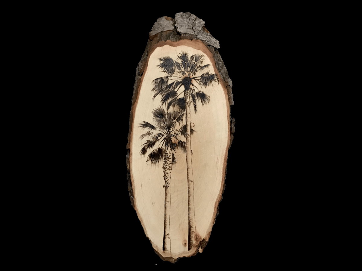Palmera de California pirograbada