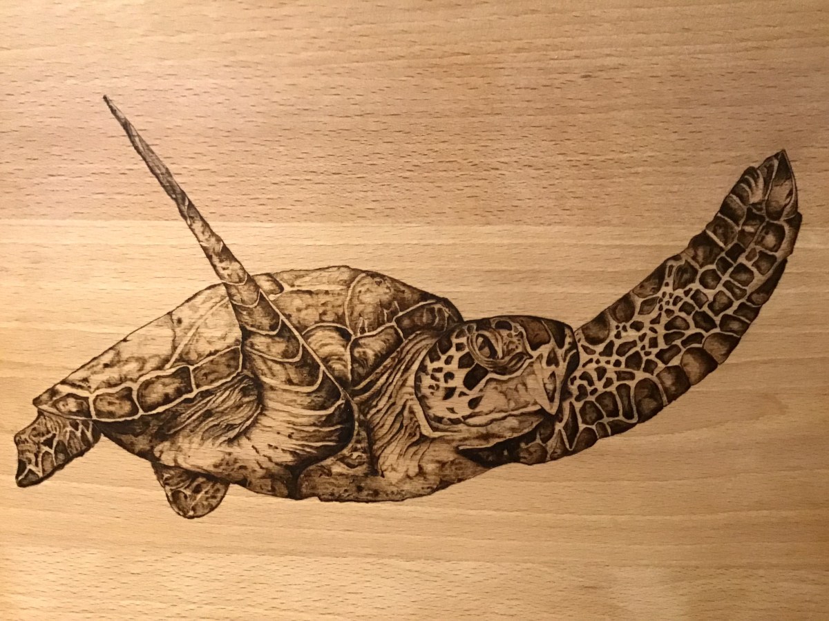 Pirograbado tortuga marina 03